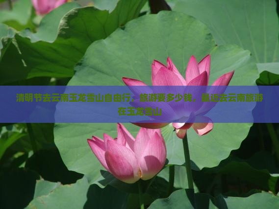 清明节去云南玉龙雪山自由行