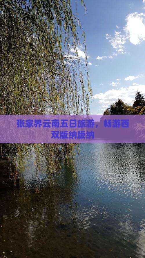 张家界到云南西双版纳五日游