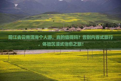 阳江去云南洱海个人游