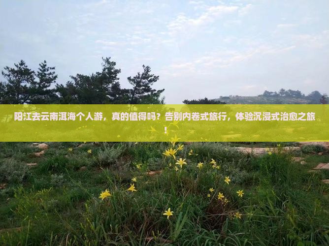 阳江去云南洱海个人游