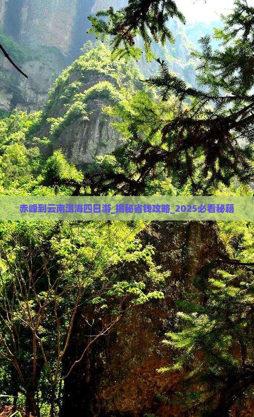 赤峰到云南洱海四日游 赤峰到云南洱海四日游