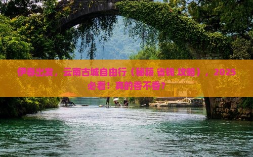 伊春到云南古城自由行