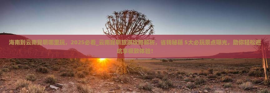 海南到云南昆明哪里玩
