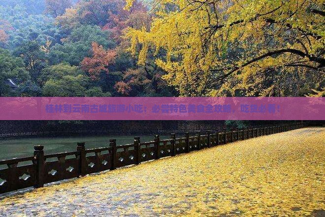桂林到云南古城旅游小吃