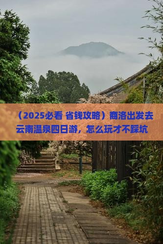 商洛到云南温泉四日游