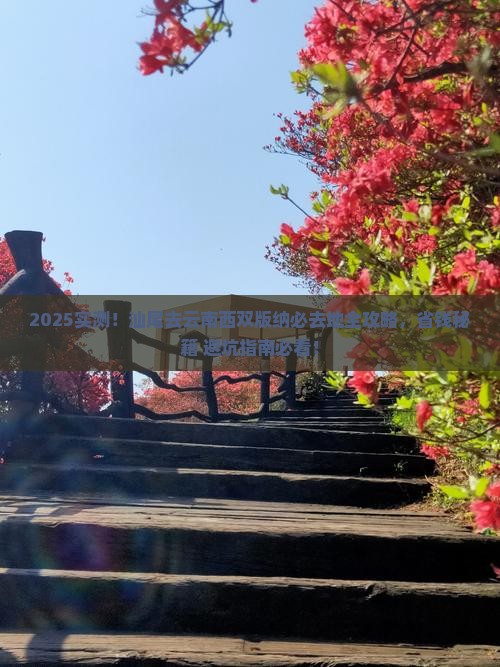 汕尾去云南西双版纳必去地