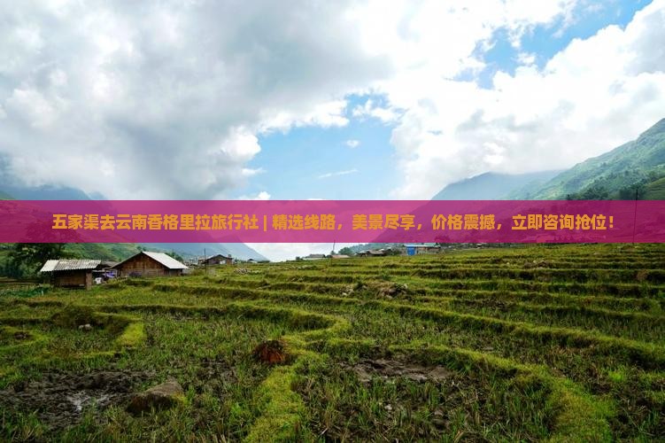 五家渠去云南香格里拉旅行社