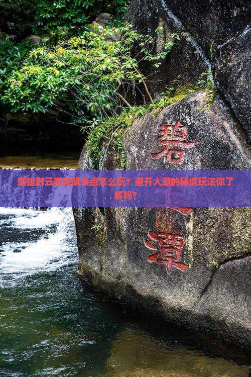 楚雄到云南昆明景点