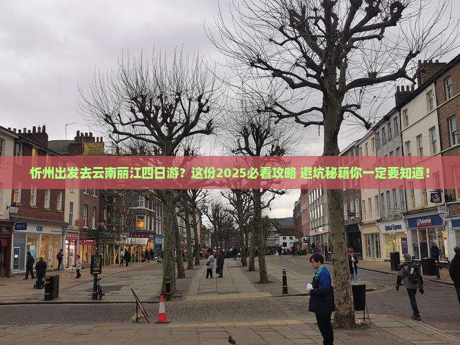 忻州去云南丽江四日游