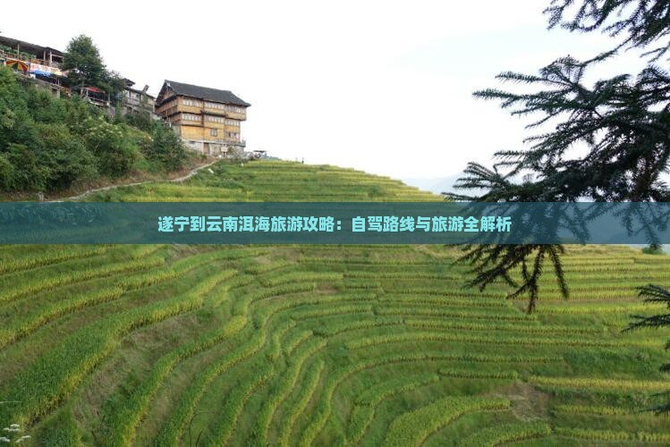 遂宁到云南洱海旅游