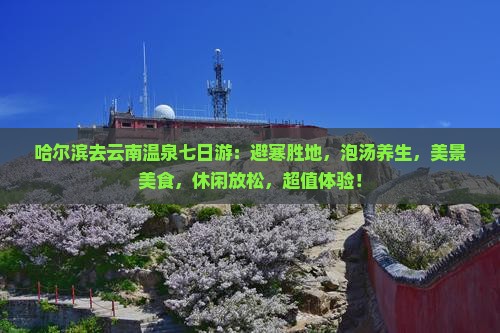 哈尔滨去云南温泉七日游