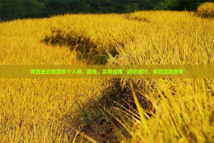 湘西去云南温泉个人游