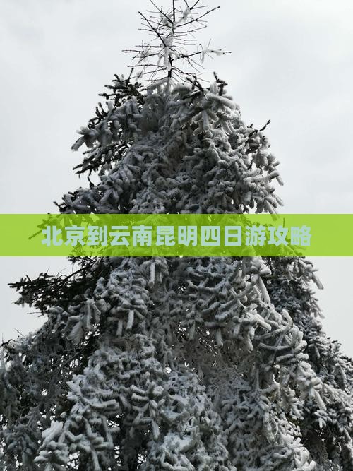 北京到云南昆明四日游