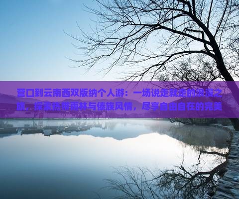 营口到云南西双版纳个人游