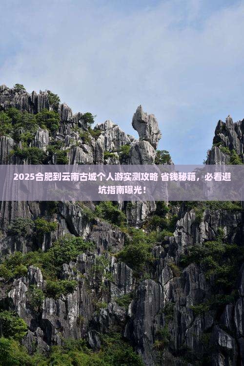 合肥到云南古城个人游