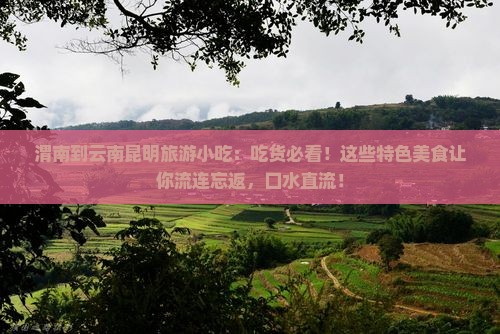 渭南到云南昆明旅游小吃