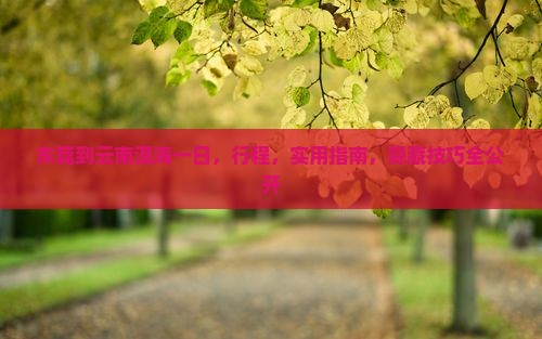 东莞到云南洱海一日