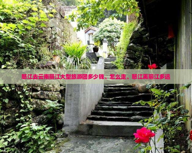 怒江去云南丽江大型旅游团
