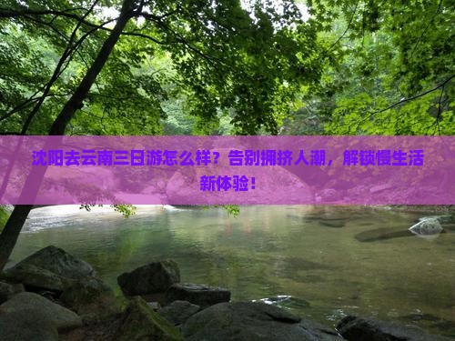 沈阳去云南三日游