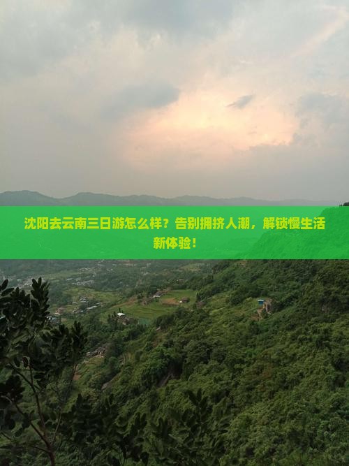 沈阳去云南三日游