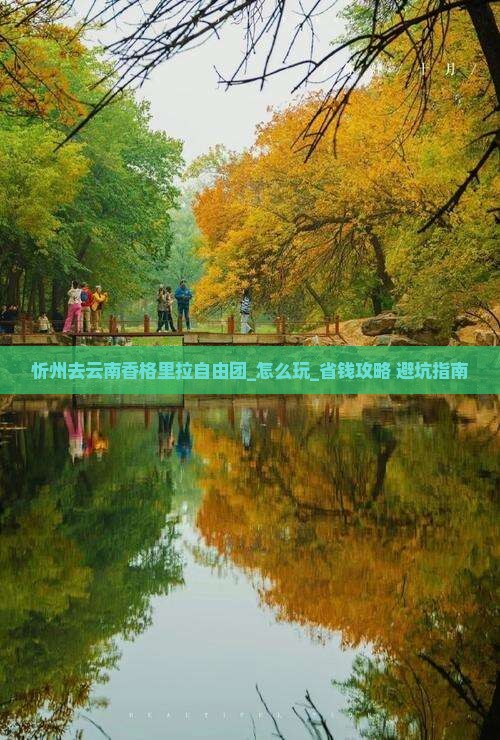 忻州去云南香格里拉自由团