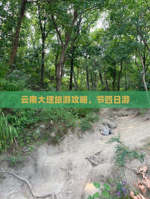 国庆节到云南大理四日游