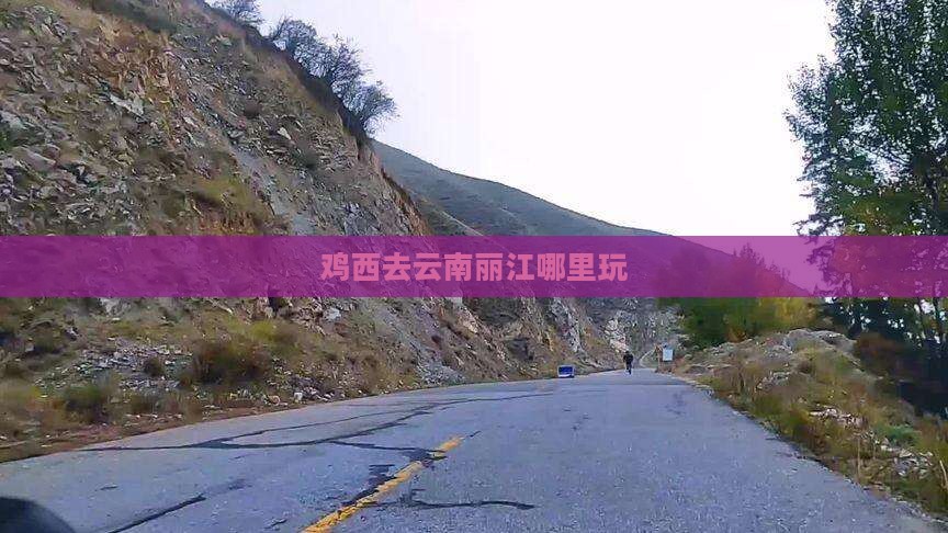 鸡西去云南丽江哪里玩