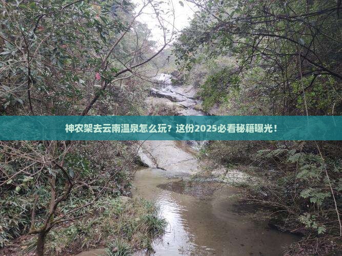 神农架去云南温泉必去地