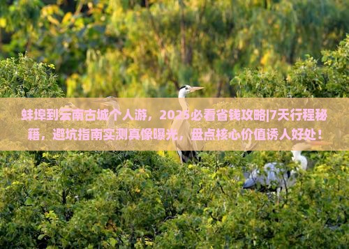 蚌埠到云南古城个人游