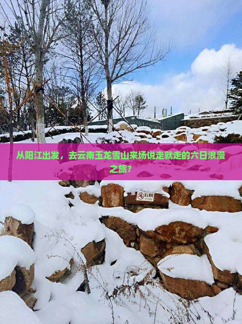 阳江去云南玉龙雪山六日游