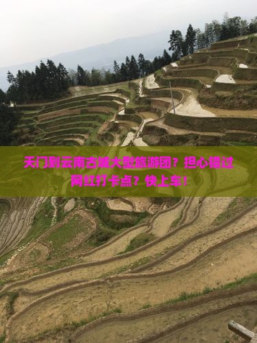 天门到云南古城大型旅游团