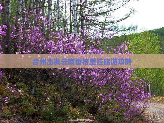 台州去云南香格里拉攻略