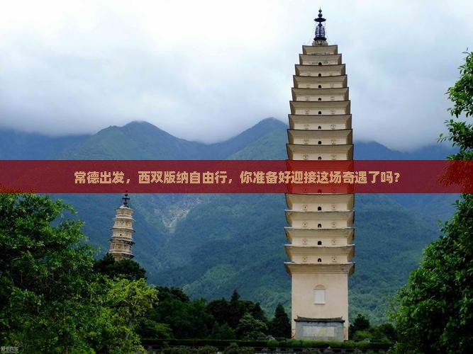 常德去云南西双版纳个人游