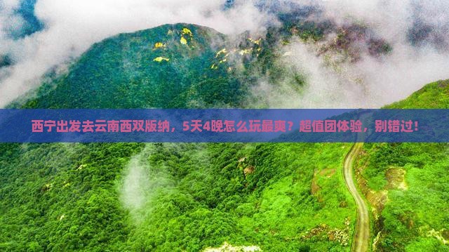 西宁去云南西双版纳团体旅游