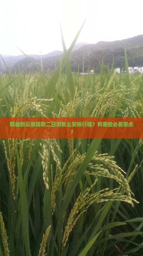 那曲到云南昆明二日游