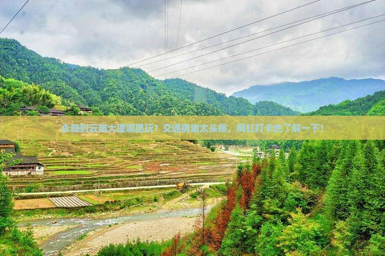 永新到云南大理哪里玩