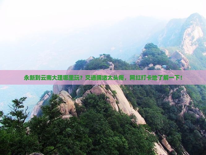 永新到云南大理哪里玩
