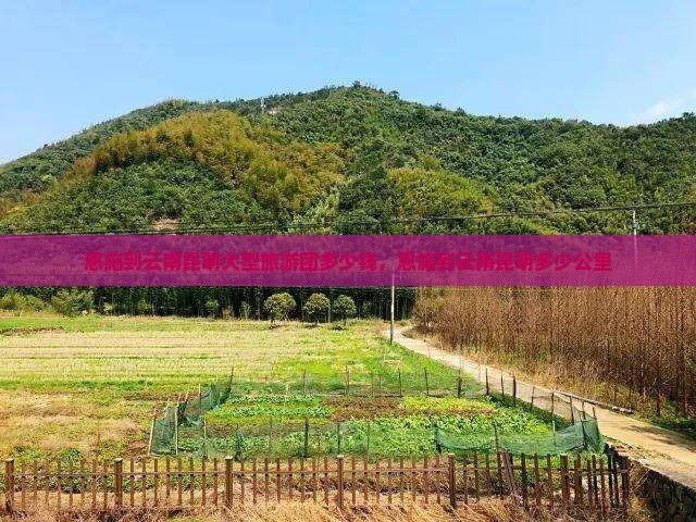 恩施到云南昆明大型旅游团