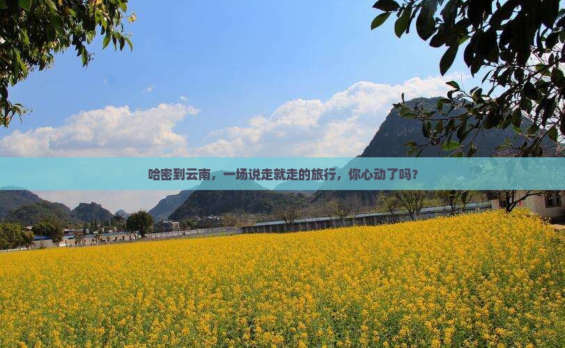 哈密到云南大型旅游团