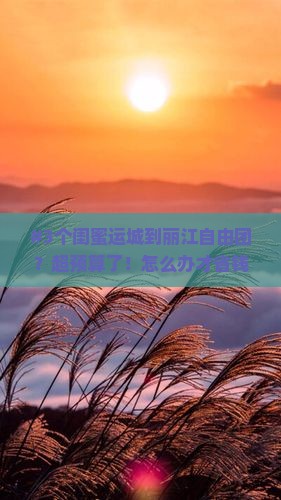运城到云南丽江自由团