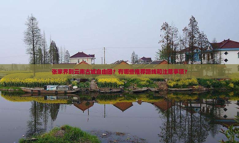 张家界到云南古城自由团