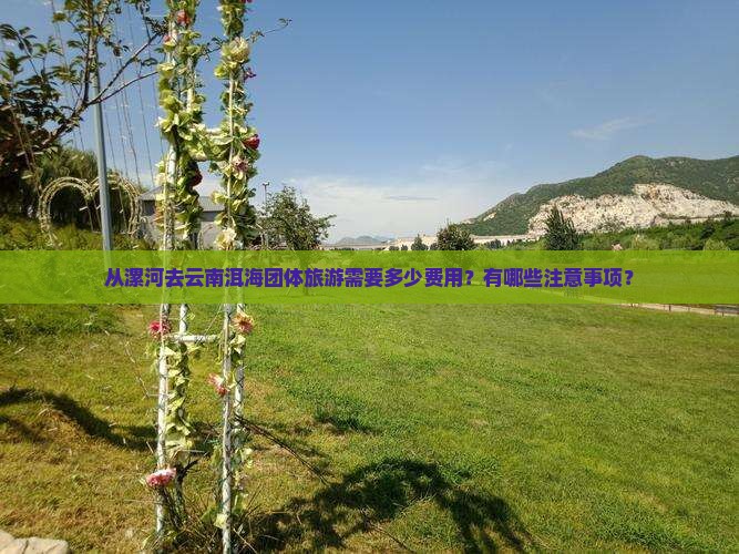 漯河到云南洱海团体旅游