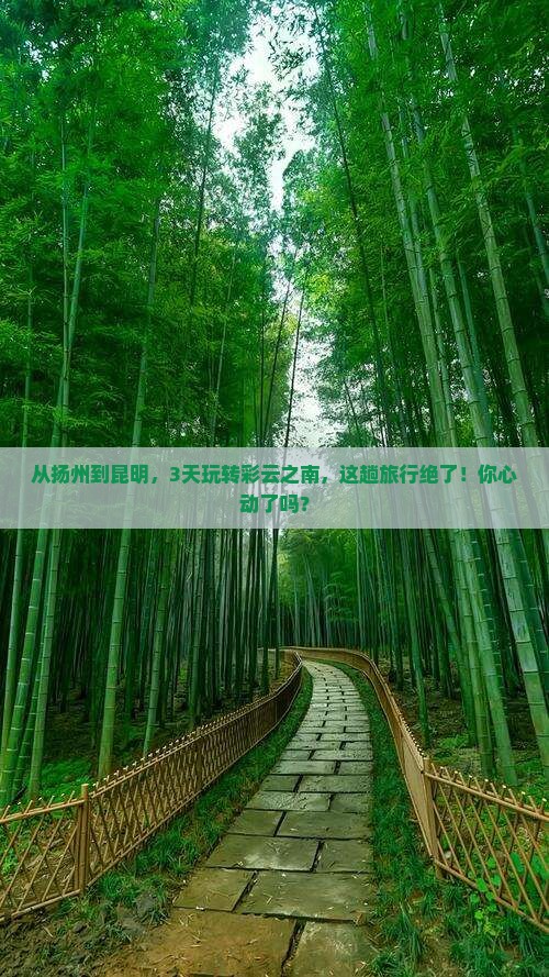 扬州到云南昆明三日游
