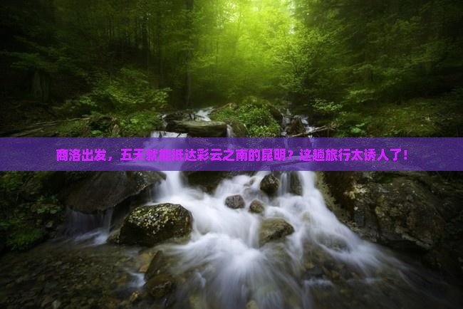 商洛到云南昆明五日游 商洛到云南昆明五日游