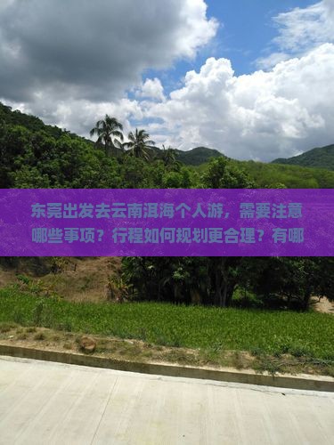 东莞去云南洱海个人游
