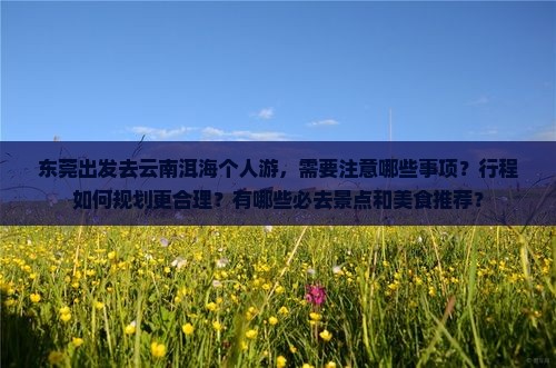 东莞去云南洱海个人游