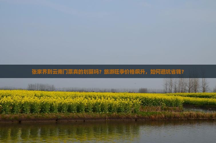 张家界到云南门票