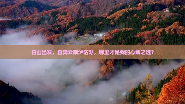 白山去云南泸沽湖哪里玩