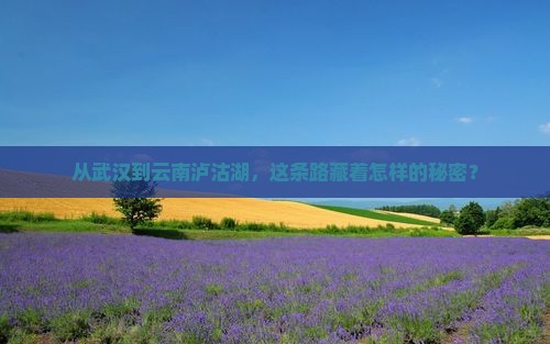 武汉去云南泸沽湖攻略