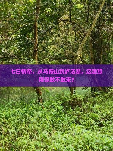 马鞍山到云南泸沽湖七日游